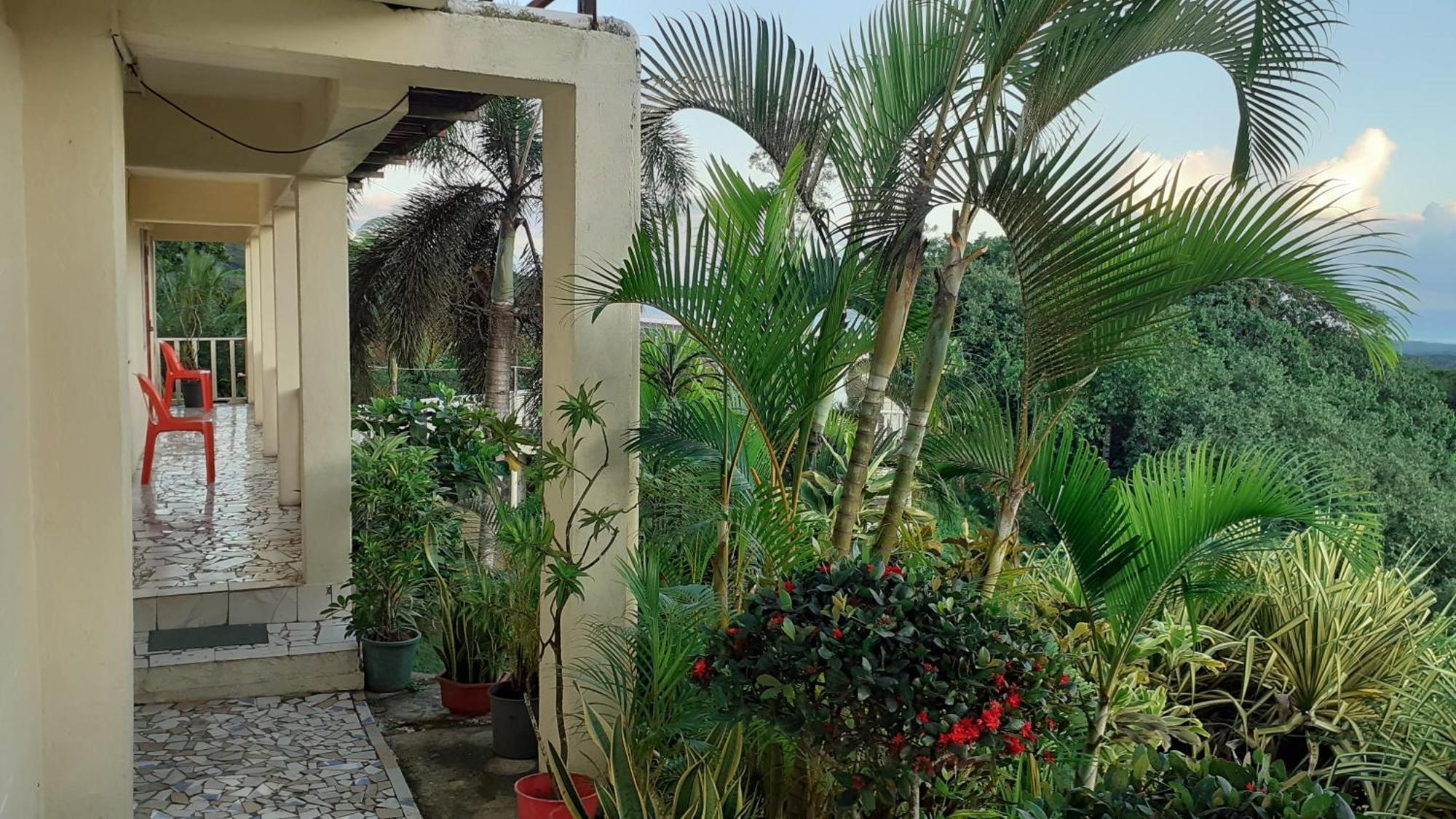 Dave Parker Eco Lodge Hotel Апиа Екстериор снимка