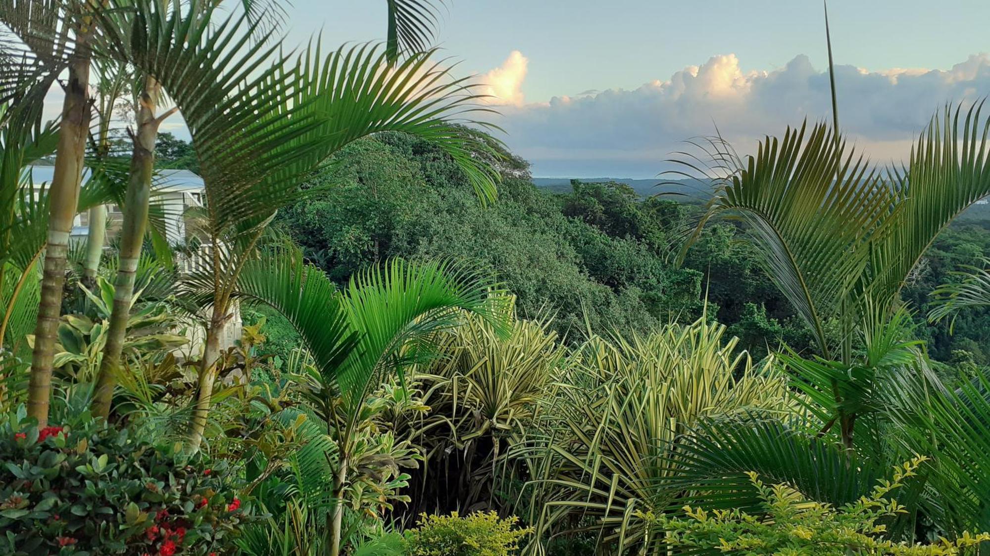 Dave Parker Eco Lodge Hotel Апиа Екстериор снимка