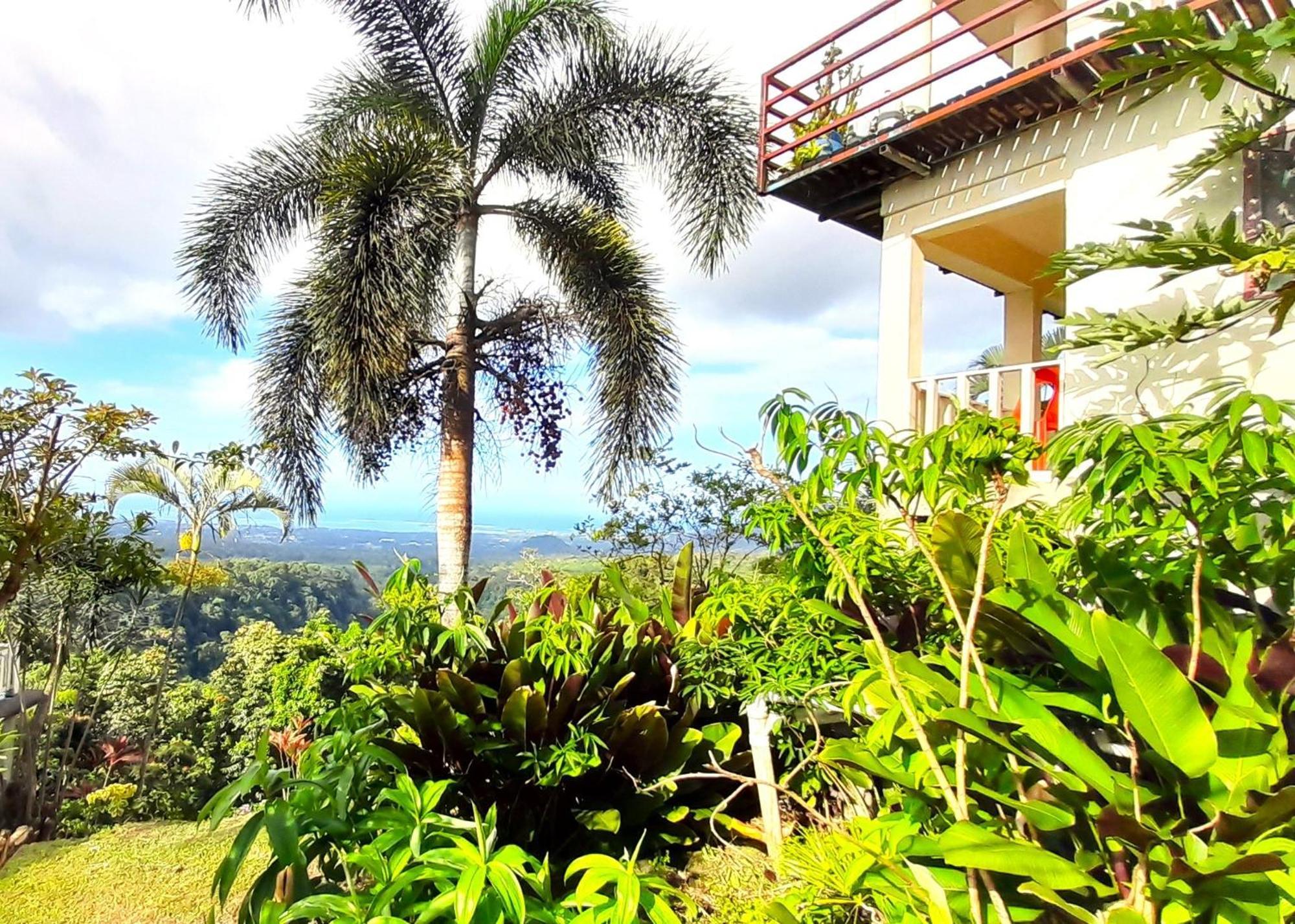Dave Parker Eco Lodge Hotel Апиа Екстериор снимка